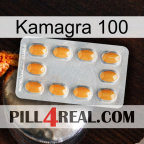 Kamagra 100 cialis3